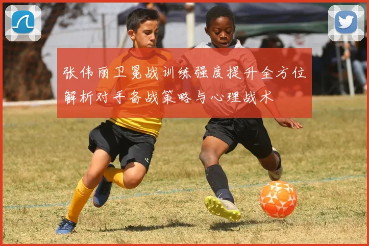 张伟丽卫冕战训练强度提升全方位解析对手备战策略与心理战术
