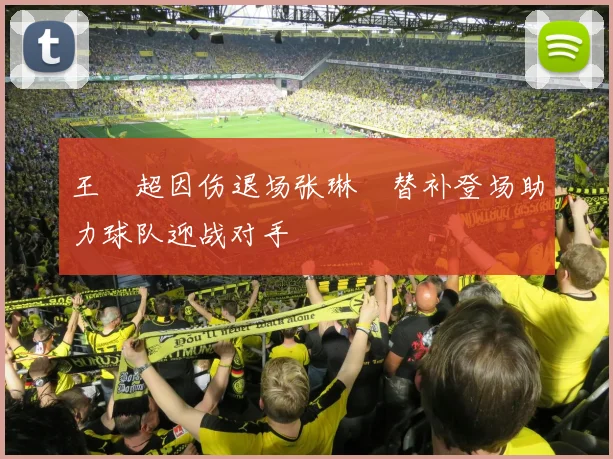 王燊超因伤退场张琳芃替补登场助力球队迎战对手