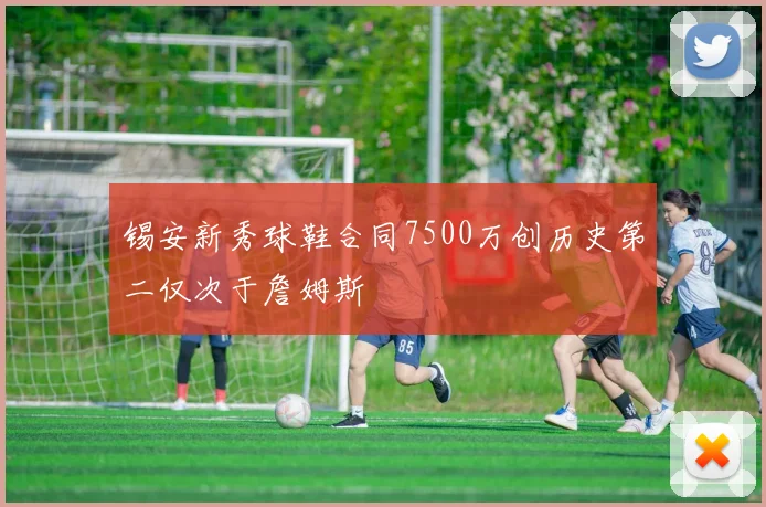 锡安新秀球鞋合同7500万创历史第二仅次于詹姆斯