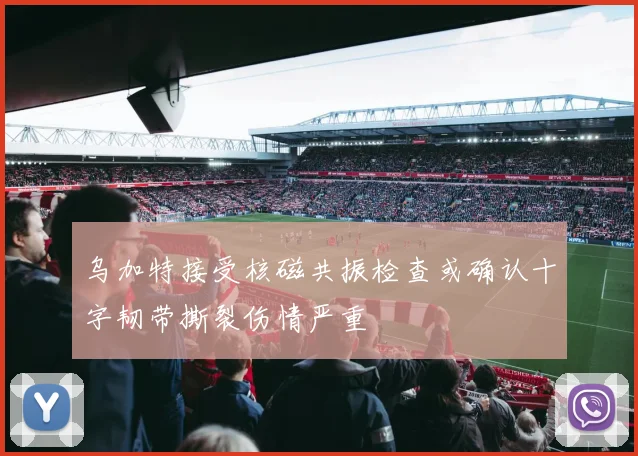 乌加特接受核磁共振检查或确认十字韧带撕裂伤情严重