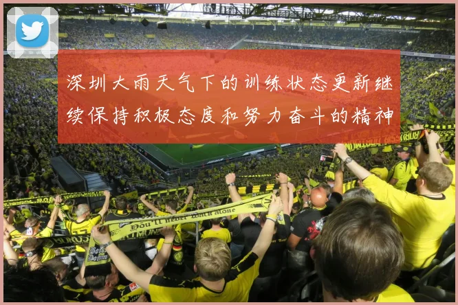 深圳大雨天气下的训练状态更新继续保持积极态度和努力奋斗的精神